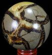 Polished Septarian Sphere - Madagascar #67858-1